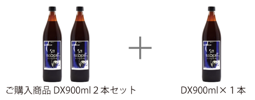 定期購入】シーフコイダンDX 900ml×2本セット – シーフコイダン日本公式 定期購入】シーフコイダンDX 900ml×2本セット – シーフコイダン日本公式